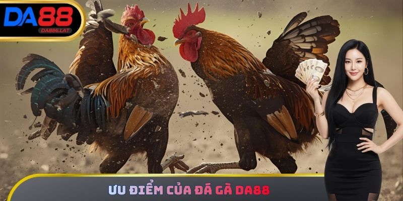 Ưu điểm của Đá Gà DA88